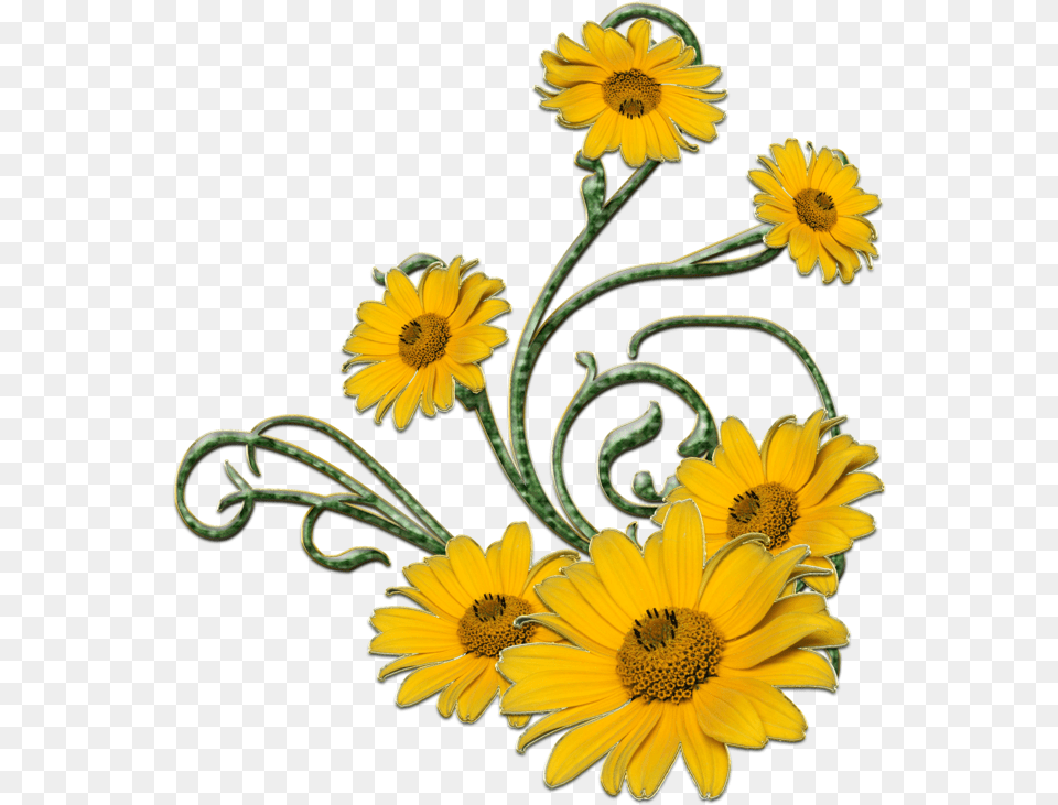 Yellow Flowers Esfiro Cat Green And Yellow Flowers, Plant, Daisy, Flower, Sunflower Free Transparent Png