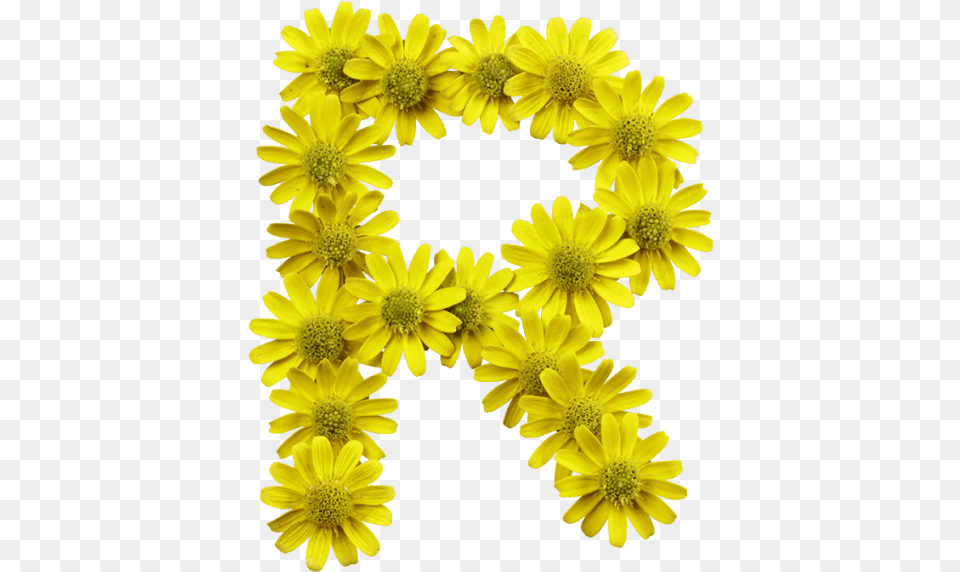 Yellow Flowers Font Letter I Flower Transparent, Daisy, Petal, Plant, Flower Arrangement Free Png