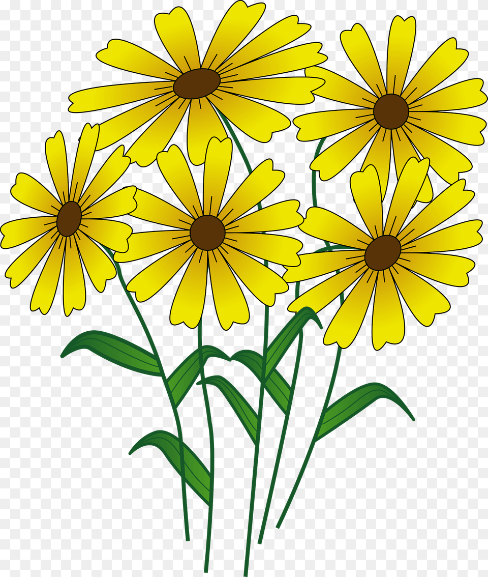 Yellow Flowers On The Stem Clipart, Daisy, Flower, Plant, Petal Png Image