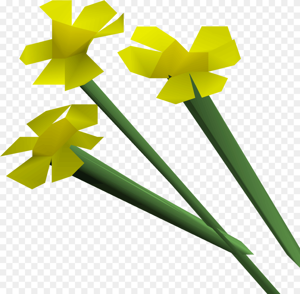 Yellow Flowers Osrs Wiki Orange Flower Runescape, Daffodil, Plant Free Transparent Png