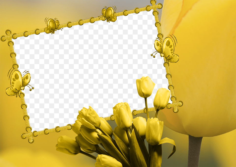 Yellow Frame Yellow Frame Background, Flower, Plant, Chandelier, Lamp Free Transparent Png