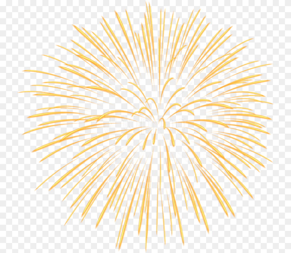 Yellow Free Toppng Firework Transparent Background, Fireworks, Plant, Animal, Sea Life Png