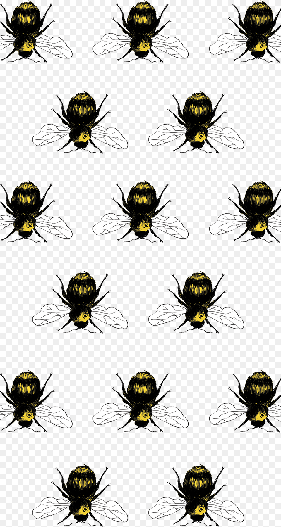 Yellow Garden Spider, Pattern, Person, Art, Floral Design Png Image