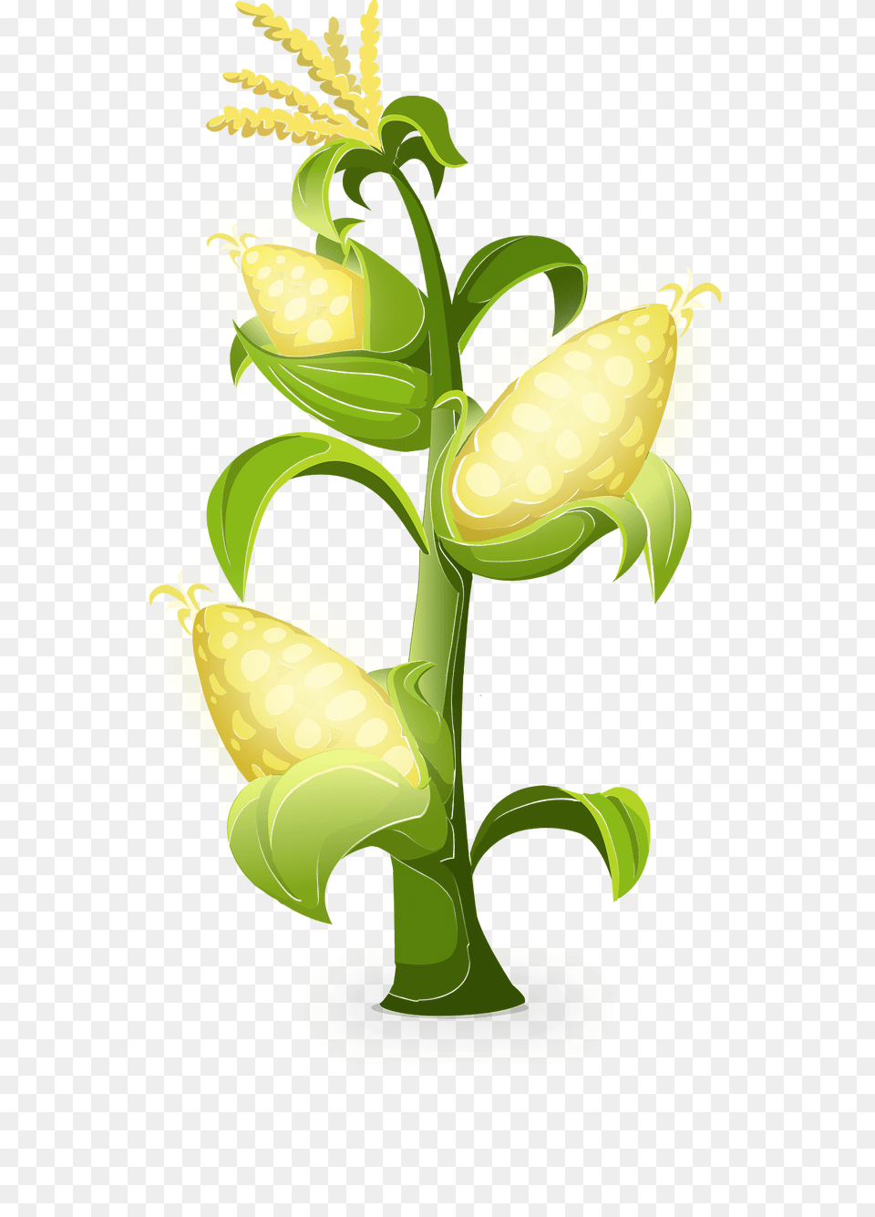 Yellow Glowing Corn Clipart, Food, Grain, Plant, Produce Png