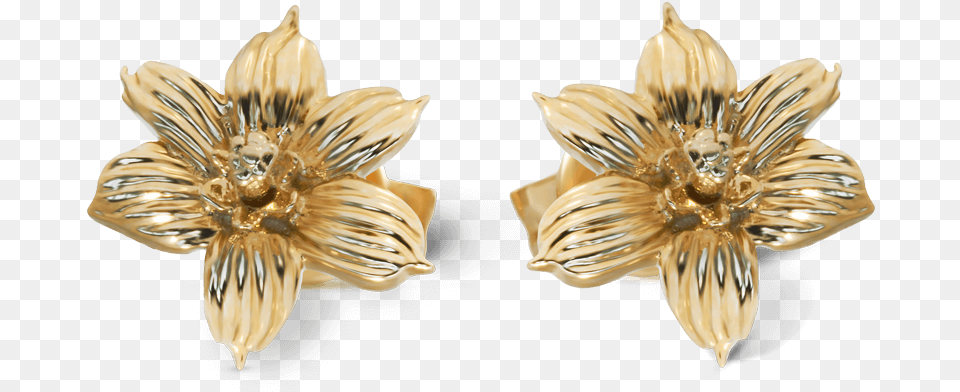 Yellow Gold Bermudiana Flower Earrings Earrings, Accessories, Earring, Jewelry, Bronze Png Image