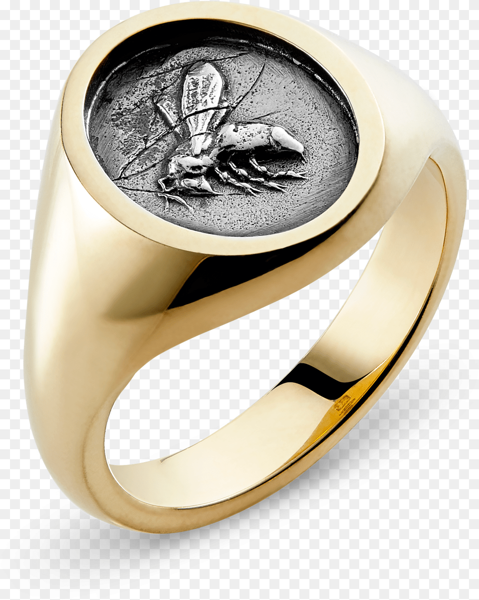 Yellow Gold Medium Oval Bumble Bee Signet Ring Pre Engagement Ring, Accessories, Jewelry Free Png Download
