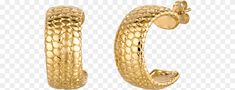 Yellow Gold Snake Skin Hoop Earring Gold Earrings Collection, Cuff, Accessories, Jewelry, Ornament Free Transparent Png