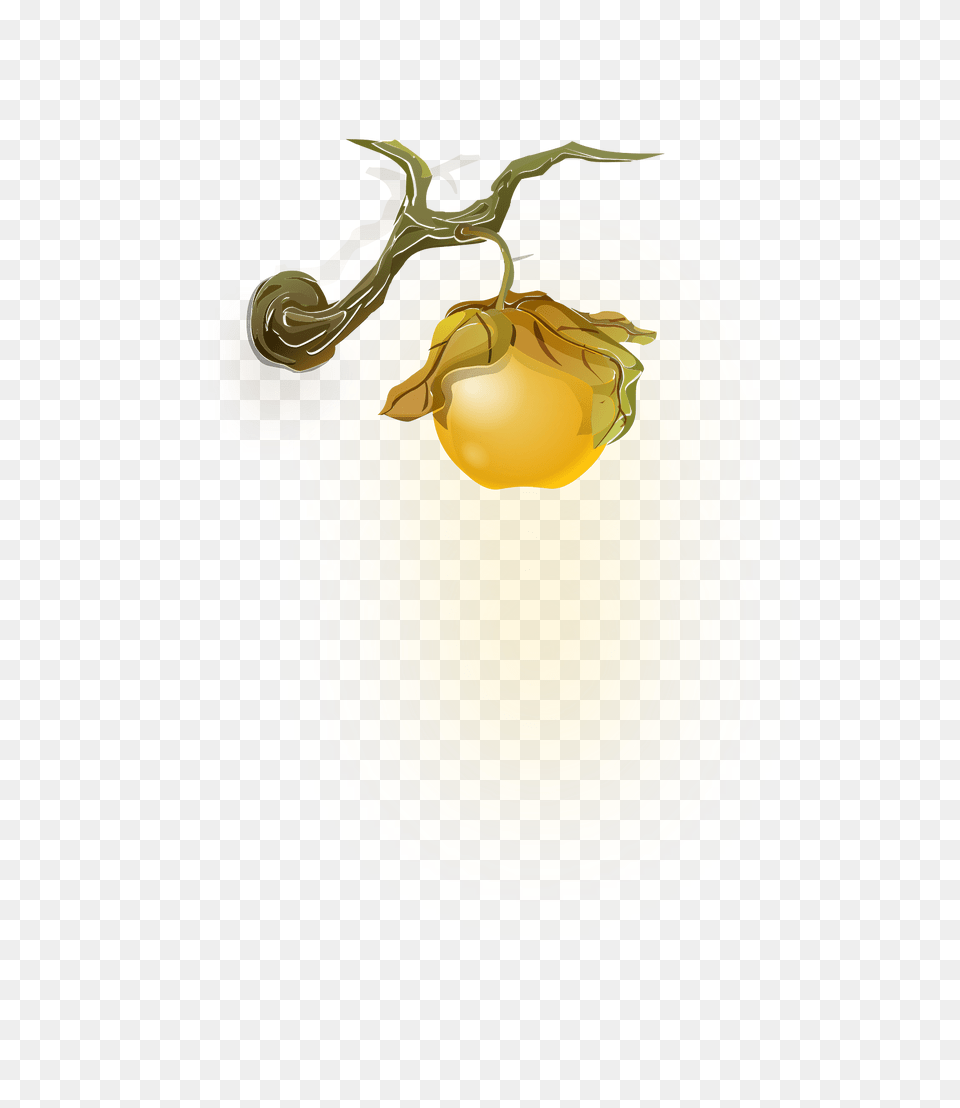 Yellow Gooseberry Wall Fantasy Lamp Clipart, Food, Produce, Fruit, Plant Png