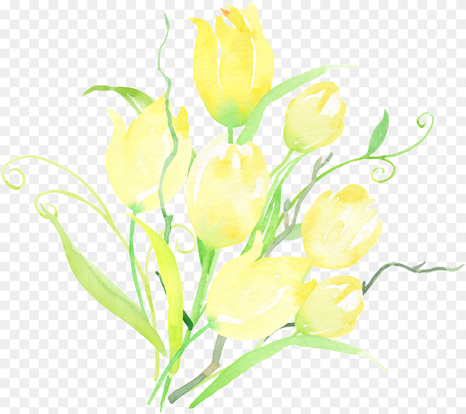 Yellow Gradient Floral Transparent Watercolor Painting, Art, Floral Design, Flower, Graphics Free Png