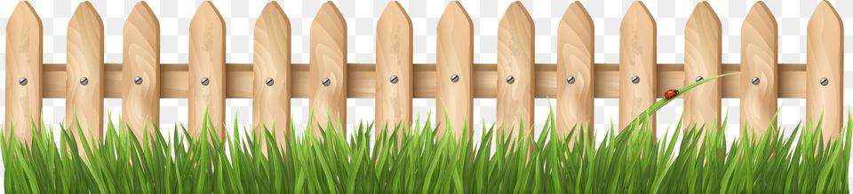 Yellow Grass Free Png Download