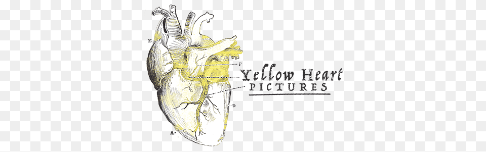Yellow Heart, Food, Produce Free Png