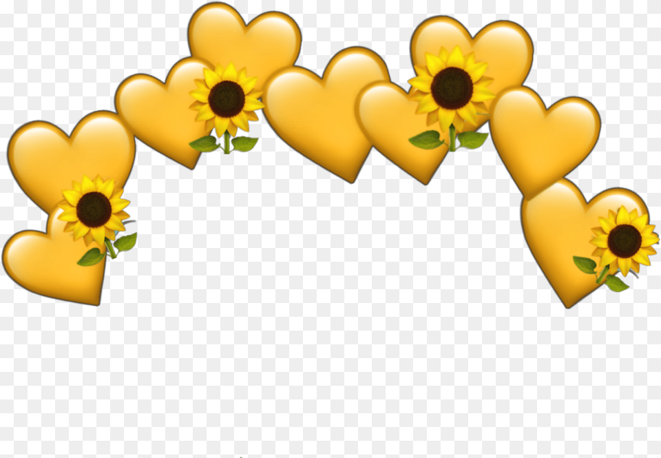 Yellow Heart Crown, Flower, Plant, Sunflower, Petal Free Png