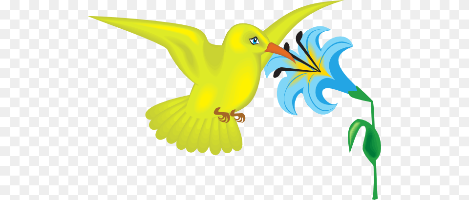 Yellow Hummingbird With Flower Clip Art, Animal, Bird, Fish, Sea Life Free Transparent Png