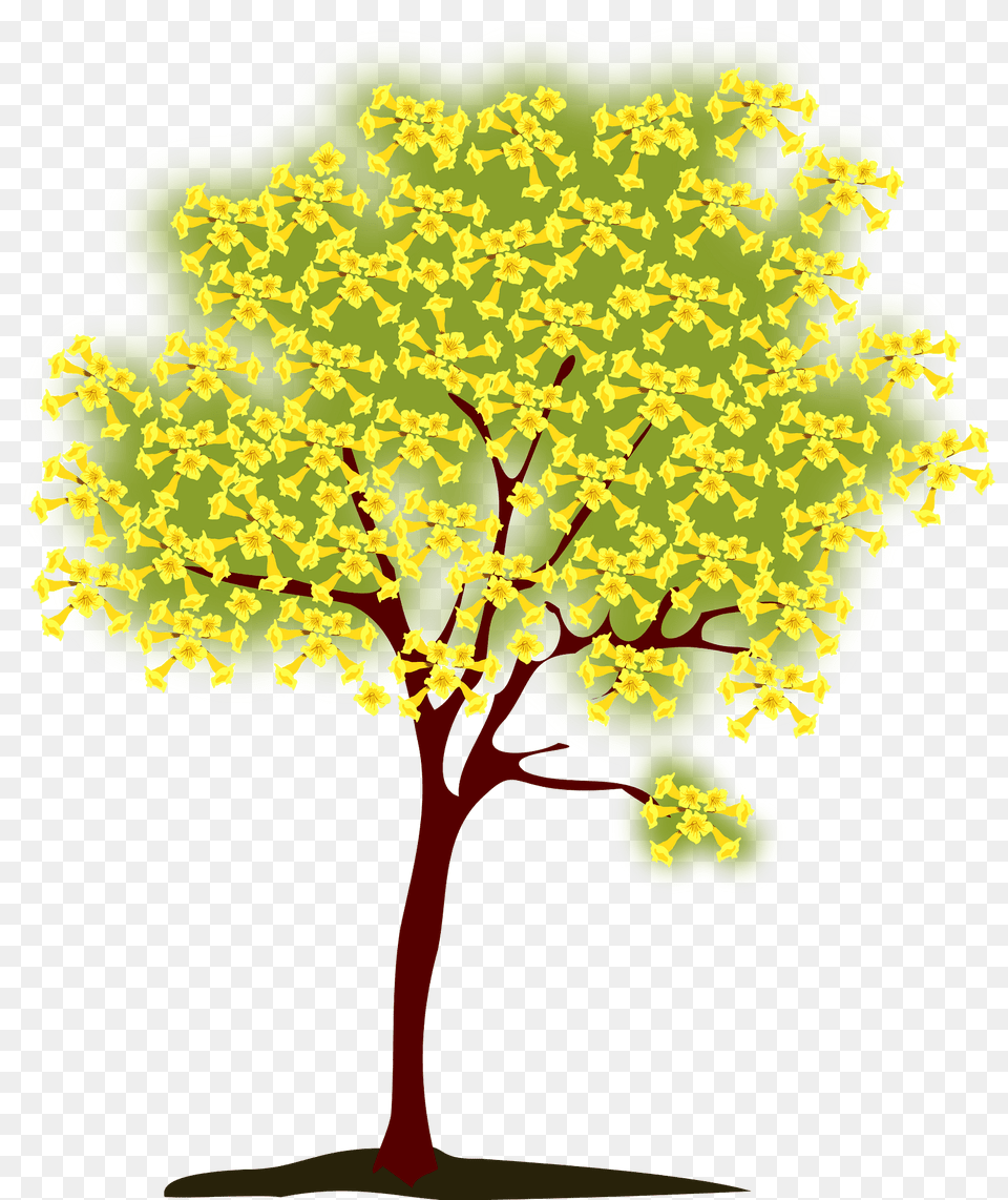 Yellow Ipe Tree Clipart, Oak, Plant, Sycamore, Flower Free Png