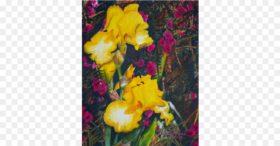Yellow Irises From My Yard Watercolor Iris, Art, Flower, Painting, Petal Free Transparent Png
