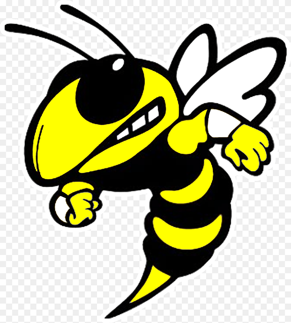 Yellow Jackets Spiritwear Scotlandville High School Logo, Animal, Bee, Insect, Invertebrate Free Png