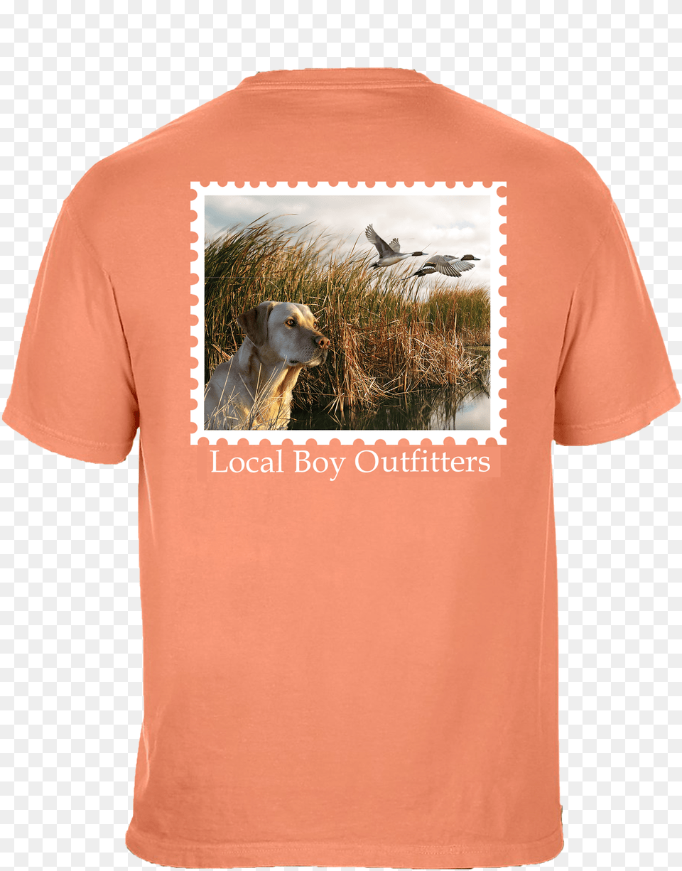 Yellow Lab Short Sleeve T Shirtclass Lazyload Lazyload Local Boy Outfitters Hats, Clothing, T-shirt, Animal, Canine Png
