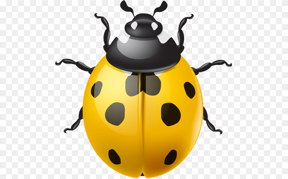 Yellow Ladybird Clip, Animal, Nature, Outdoors, Snow Free Png Download