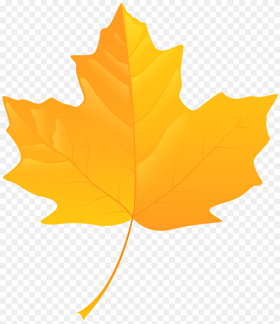 Yellow Leaf Clip Art, Plant, Tree, Maple Leaf Free Transparent Png