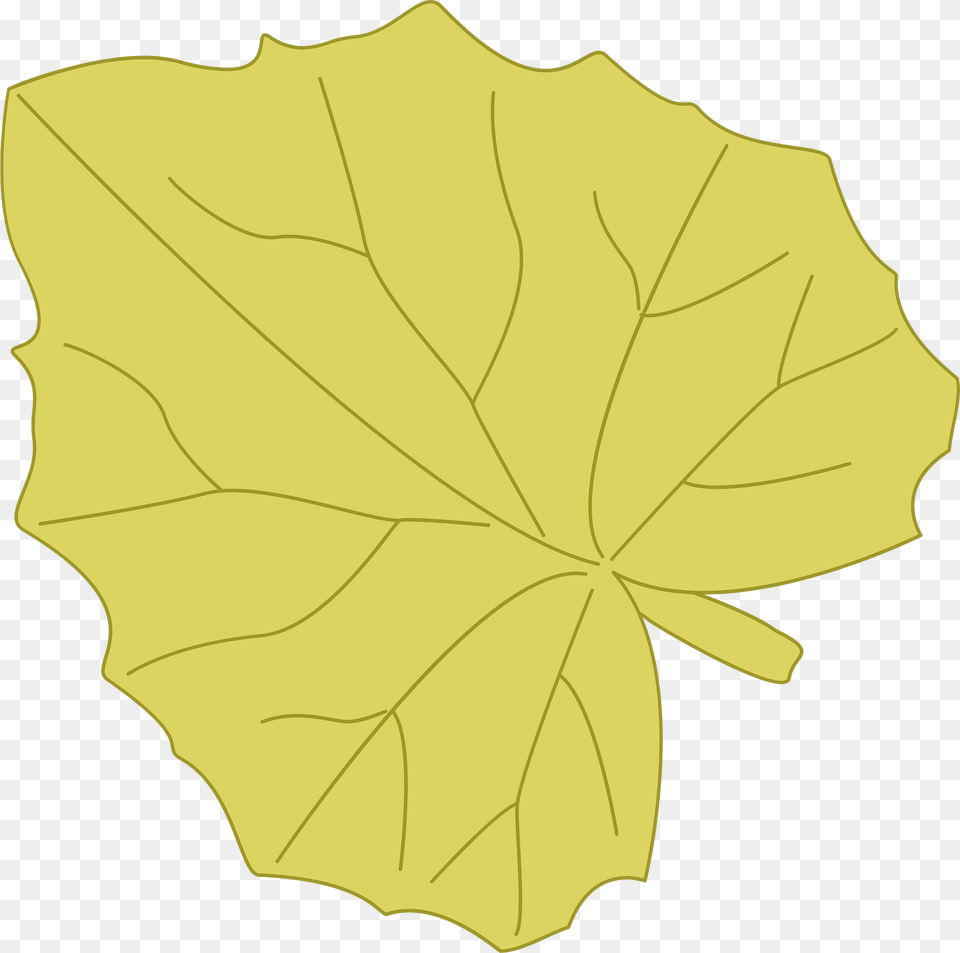 Yellow Leaf Clipart, Plant, Tree, Maple Leaf Free Png Download