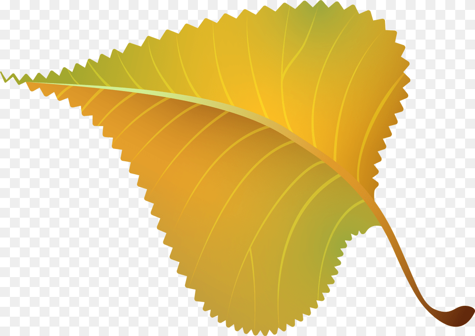 Yellow Leaf Clipart Explore Pictures Special Edition Vector, Plant Free Png