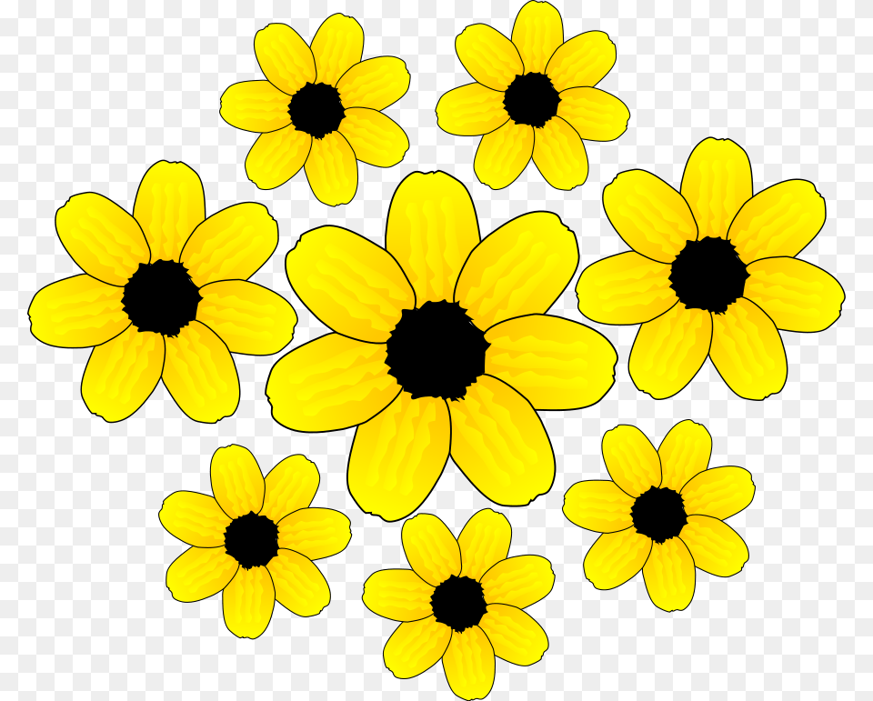 Yellow Leaf Flower Clipart For Web, Daisy, Petal, Plant, Anemone Png