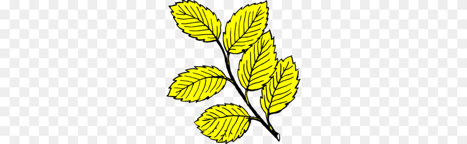 Yellow Leaves Clipart Clip Art Images, Leaf, Plant, Tree Free Png Download