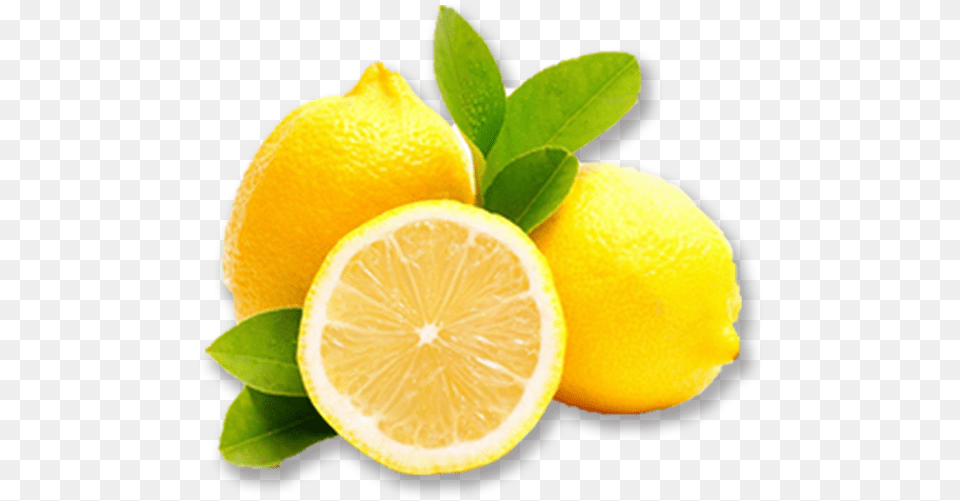 Yellow Lemon Download Yellow Lemon, Citrus Fruit, Food, Fruit, Plant Free Transparent Png