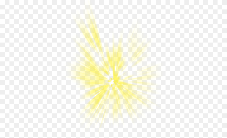 Yellow Light Effect Sunlight Beam Macro Photography, Flower, Plant, Pollen, Daisy Free Png
