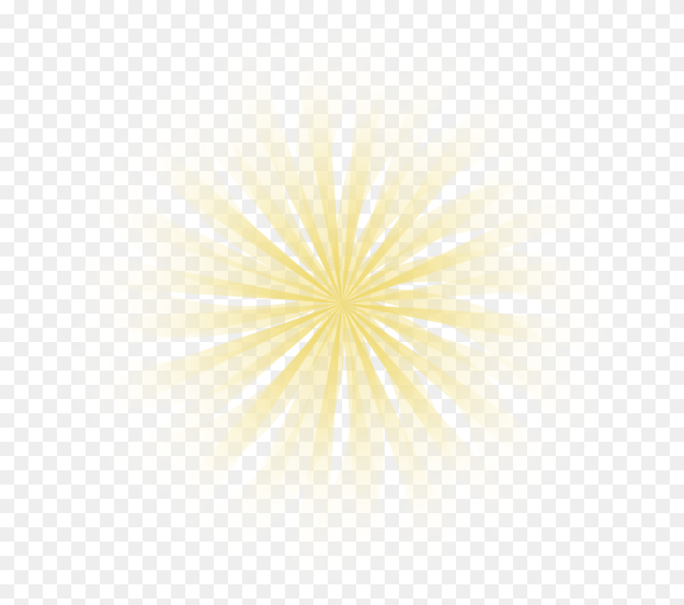 Yellow Light Rays Darkness, Home Decor, Leaf, Plant, Flower Free Png