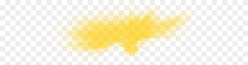 Yellow Light Sunlight Effect Light For Picsart Transparent Background Yellow Light, Flower, Plant Png Image