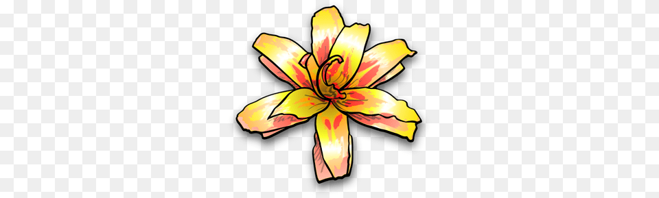 Yellow Lily Clipart For Web, Flower, Plant, Petal, Anther Png Image