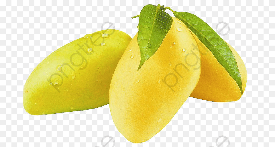 Yellow Mango With Leaf, Food, Fruit, Plant, Produce Png Image