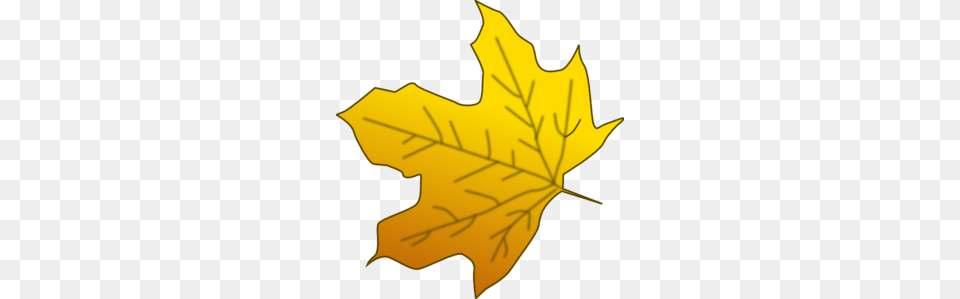 Yellow Maple Leaf Clip Art, Maple Leaf, Plant, Tree, Person Png Image