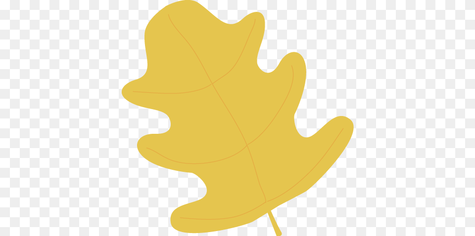 Yellow Oak Autumn Leaf Yellow Fall Leaves Clipart, Plant, Maple Leaf, Tree, Animal Png Image