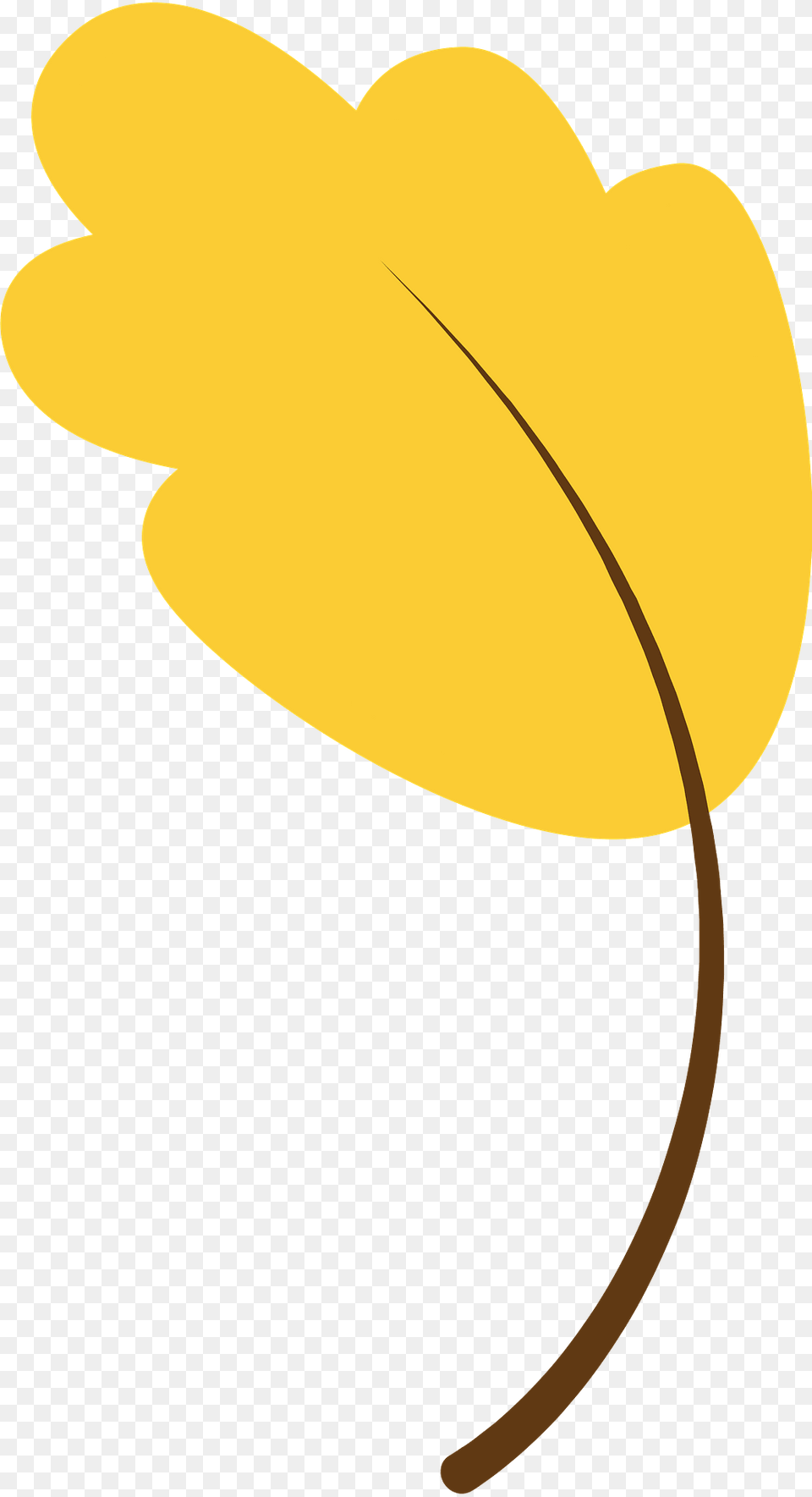 Yellow Oak Leaf Clipart, Plant, Clothing, Hat, Flower Free Png Download
