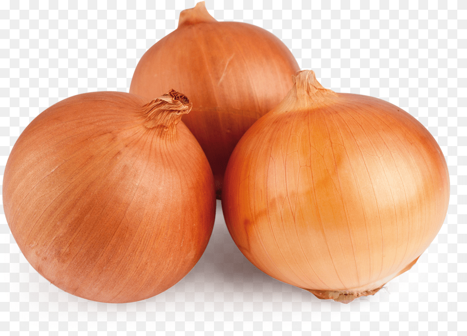 Yellow Onion, Food, Produce, Plant, Vegetable Png Image