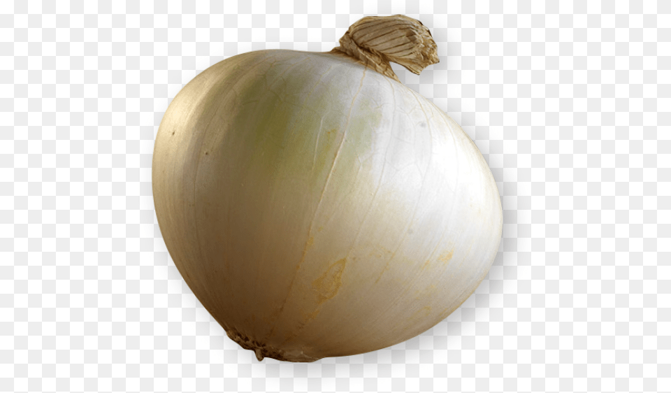 Yellow Onion, Food, Produce, Plant, Vegetable Png Image