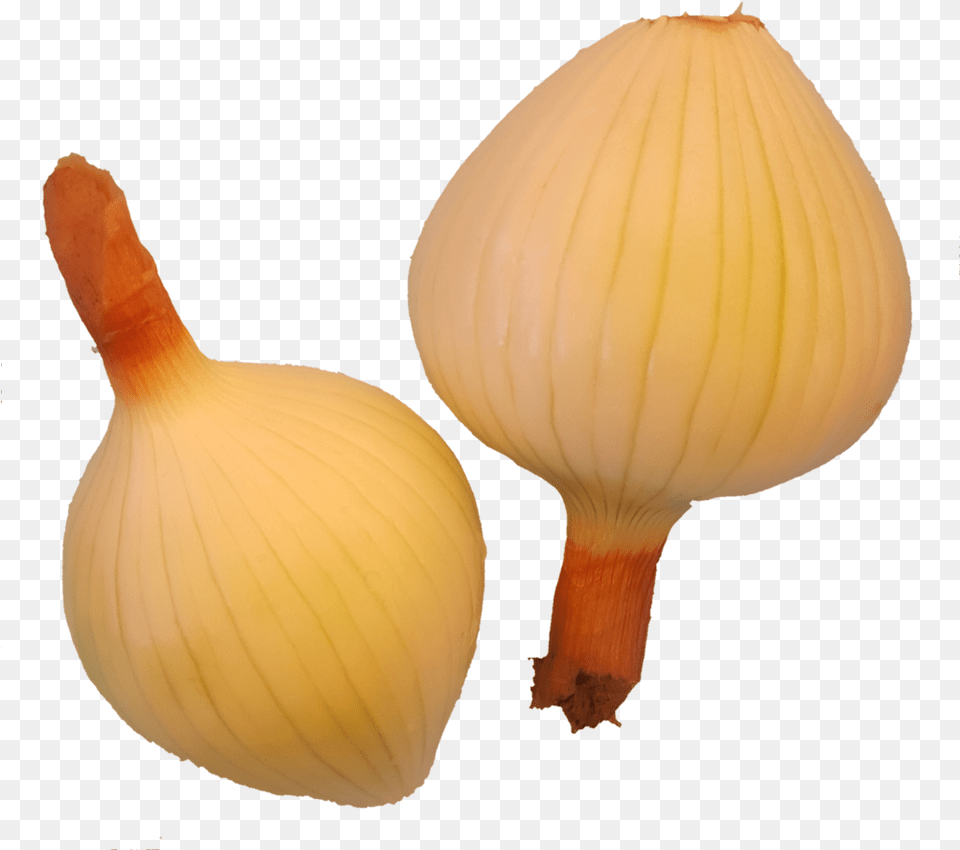 Yellow Onion, Food, Lamp, Produce, Plant Free Png Download