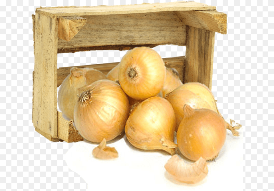 Yellow Onion, Food, Produce, Plant, Vegetable Png