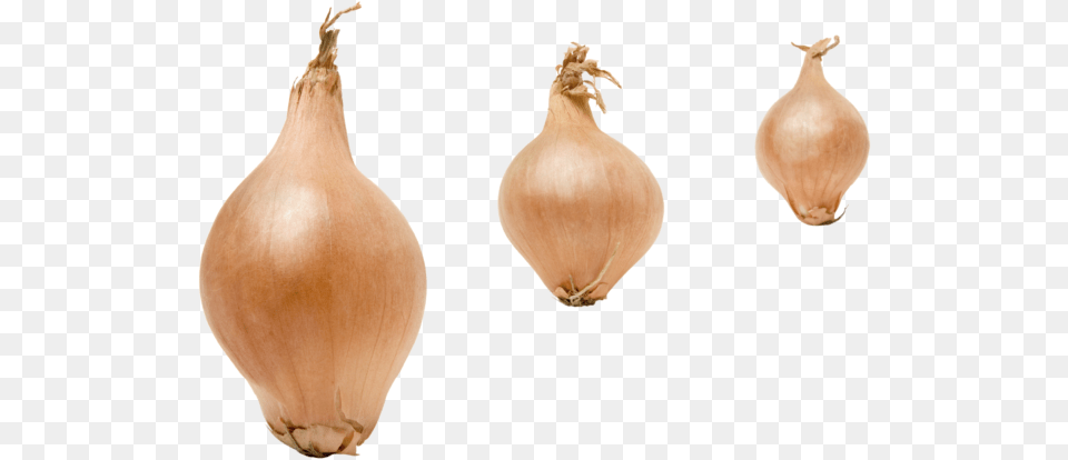 Yellow Onion, Food, Produce, Plant, Vegetable Png