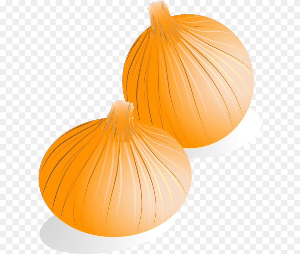Yellow Onion, Food, Produce, Plant, Vegetable Png