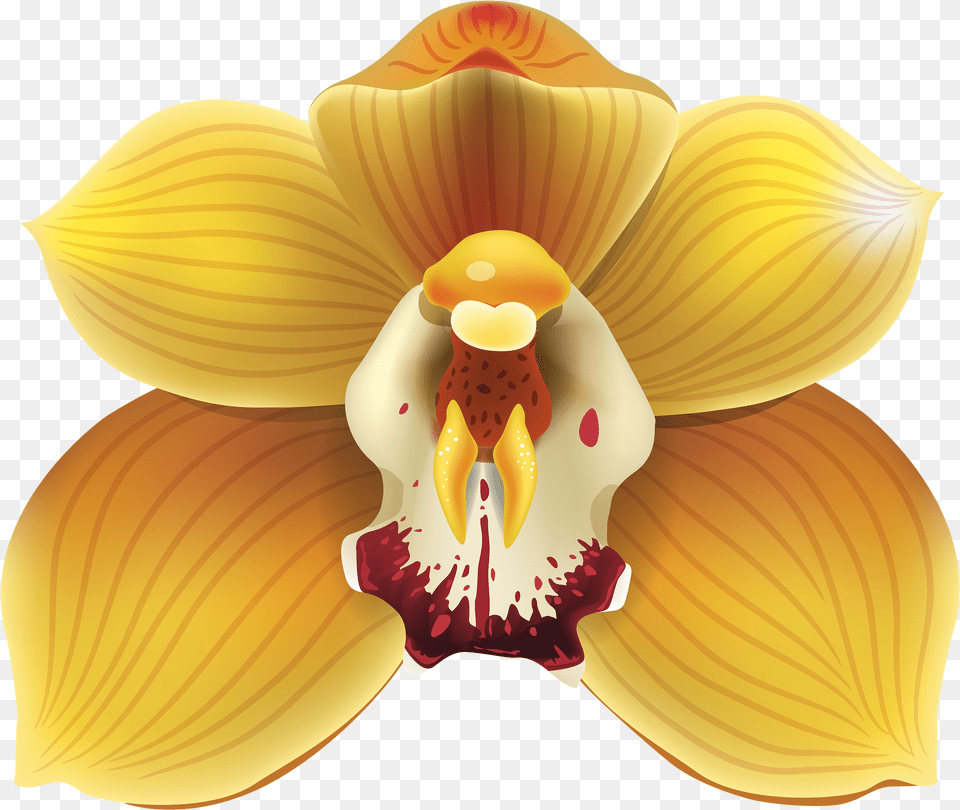Yellow Orchid Clipart Yellow Orchids, Flower, Plant, Petal Png Image