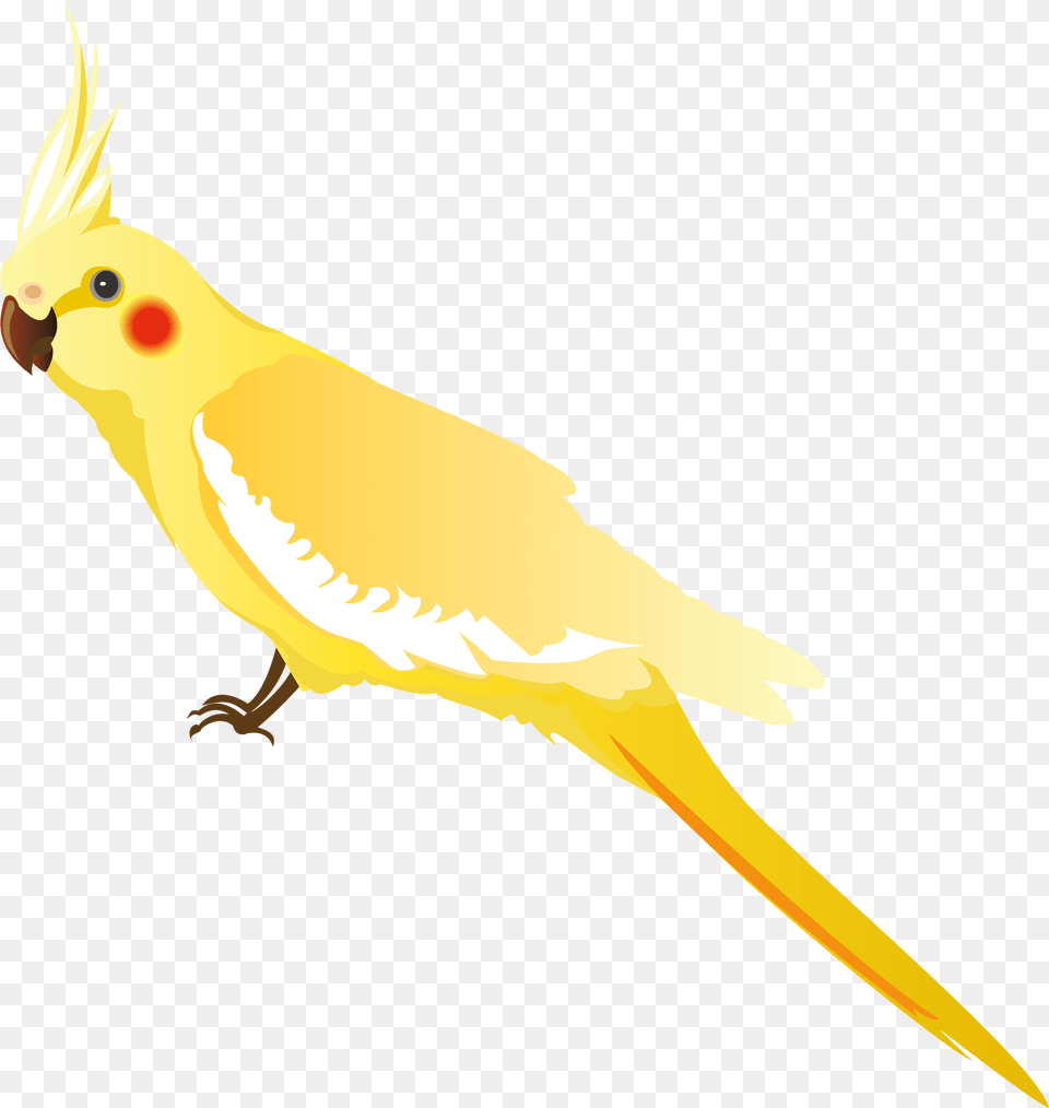 Yellow Parrot Clipart Yellow Parrot, Animal, Bird, Parakeet Free Png