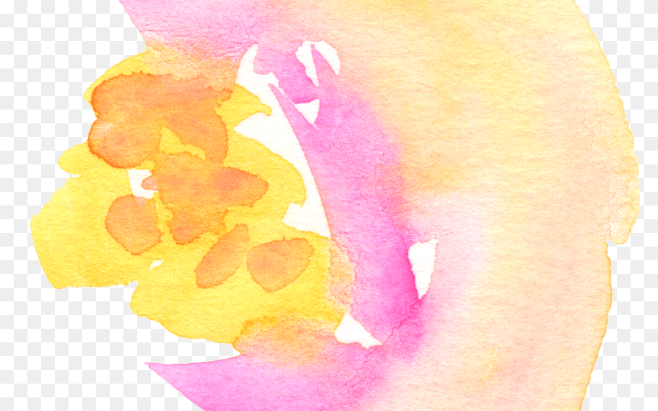 Yellow Peach Watercolor Flowers Gardening Flower And Vegetables, Petal, Plant, Baby, Person Free Transparent Png