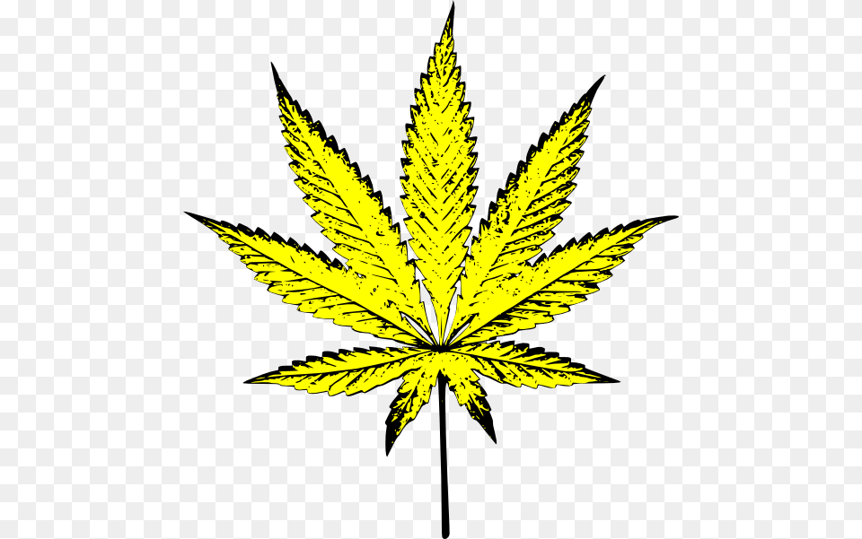 Yellow Pot Leaf Transparent Background, Plant, Weed, Hemp Png Image