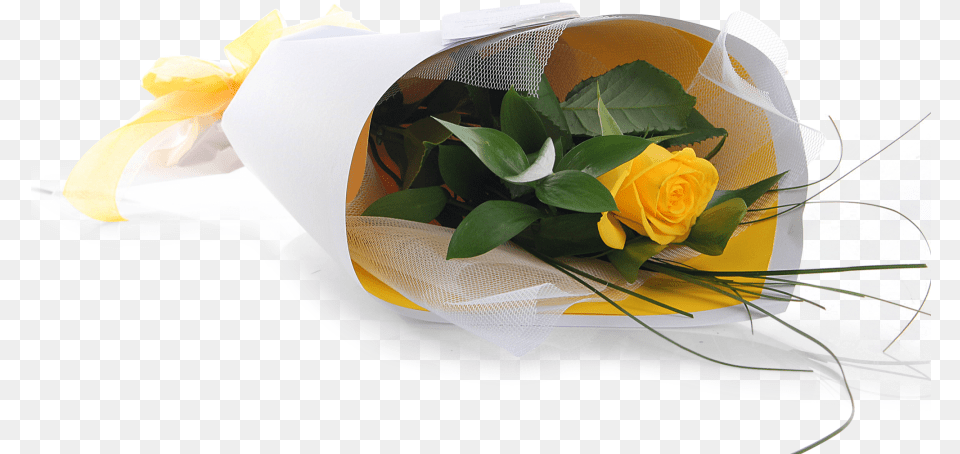 Yellow Rose Bouquet 1 Yellow Rose Bouquet, Flower, Flower Arrangement, Flower Bouquet, Plant Png