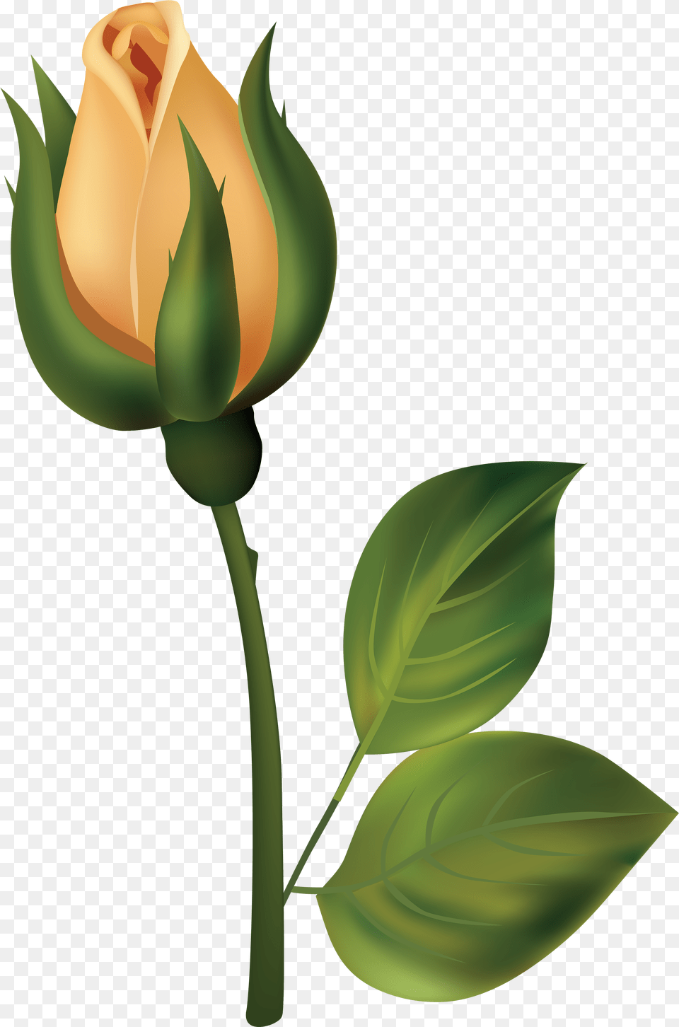 Yellow Rose Bud Clipart Flower Bud Clipart, Plant, Sprout, Leaf Free Png Download