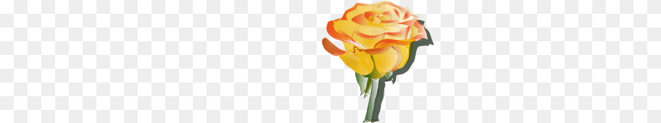 Yellow Rose Clip Art, Flower, Plant Png Image