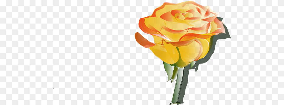 Yellow Rose Clip Art For Web, Flower, Plant, Flower Arrangement, Flower Bouquet Png Image